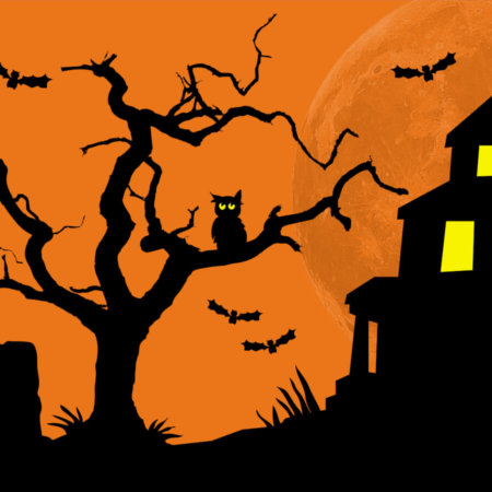 Ready for the darker nights? We’ve put out the welcome mat for films with haunted houses at their heart.